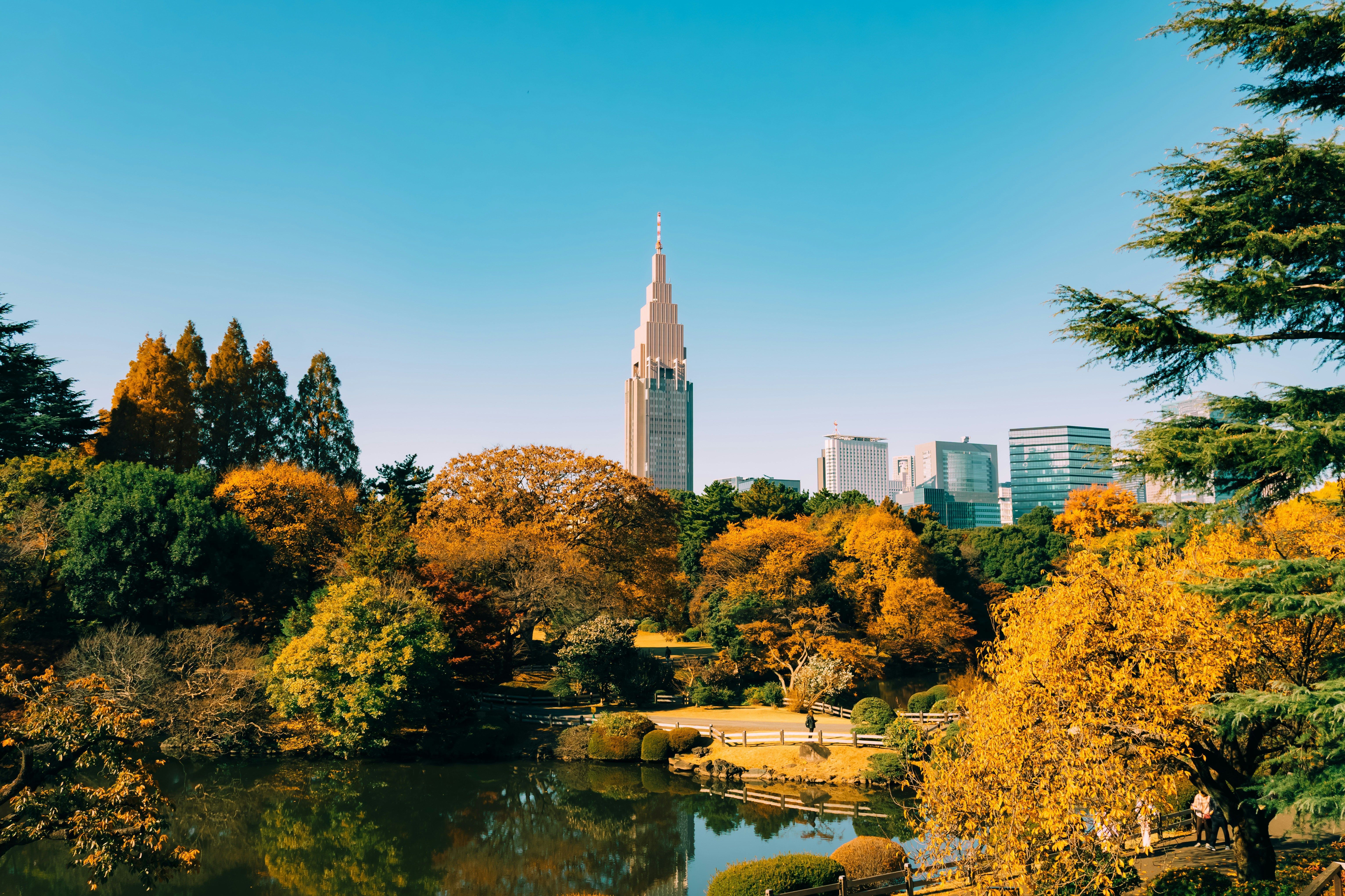 Tokyo: Shinjuku Gyoen Autumn Leaves Stroll (Entry Included)